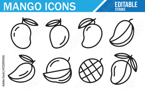 Set of Vector Mango Icons for Food and Health Industry Design