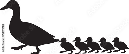 Silhouette of a mother duck walking with five ducklings in a row ducks