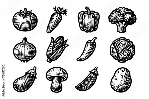 Vintage style vegetable collection with detailed engraving
