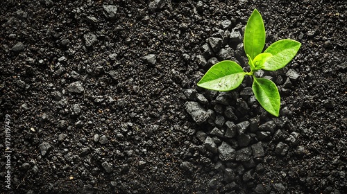 Agricultural waste converted into biochar sustainable chemistry