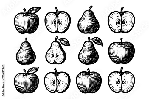 Hand drawn vintage pear and apple set: detailed cross sections and whole fruits