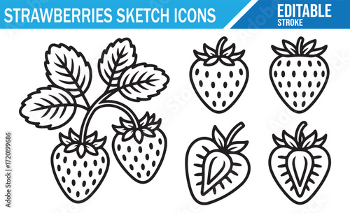 Hand-drawn Strawberry Icons for Food and Agricultural Product Design