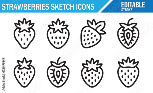 Sketch Icon Set of Ripe Strawberries for Healthy Eating and Farming