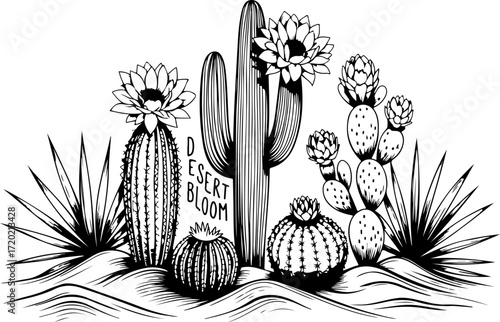 Desert Cactus and Succulent Silhouette Illustration
