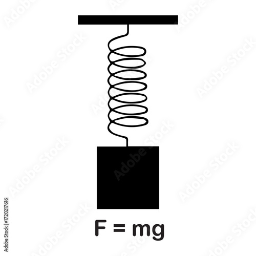 Spring Mass System
