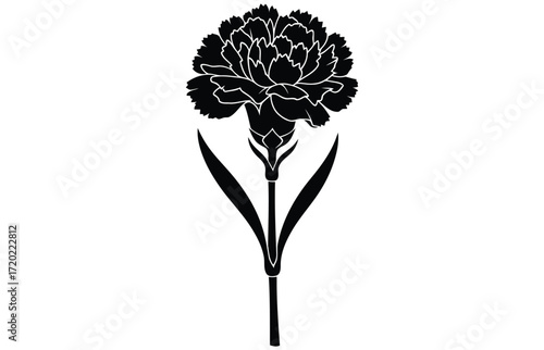 Vector art of a detailed monochrome drawing of a fern frond, showcasing its intricate leaf structure and delicate venation, rendered in fine lines and subtle shading