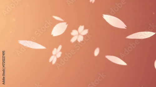 Soft peachy background with delicate falling cherry blossoms