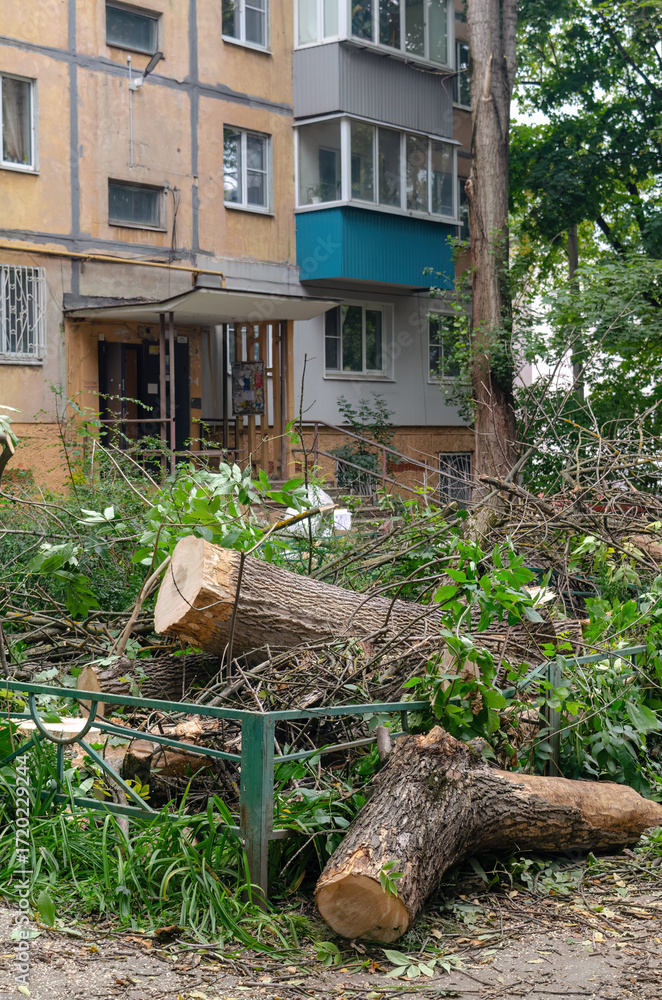 Fototapeta premium Urban Landscape with Fallen Trees and Building Exterior After Storm