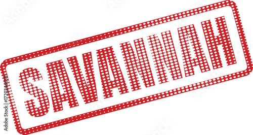 Red dotted rectangle displays the word Savannah on a white transparent background perfectly