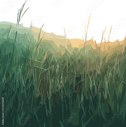 tall grass in the foreground with layered shades of green and beige hills in the background against a black sky.