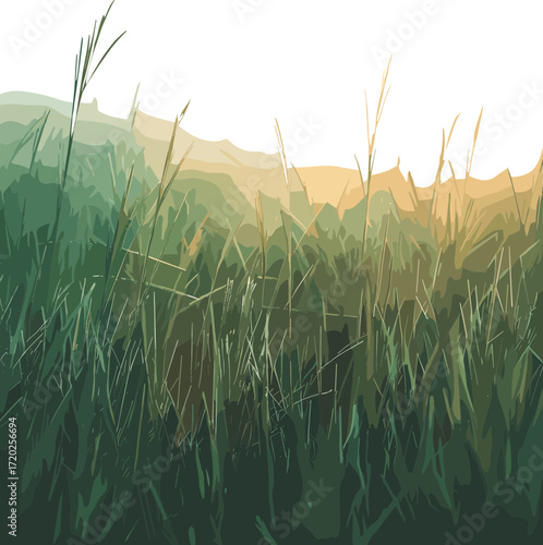 tall grass in the foreground with layered shades of green and beige hills in the background against a black sky.