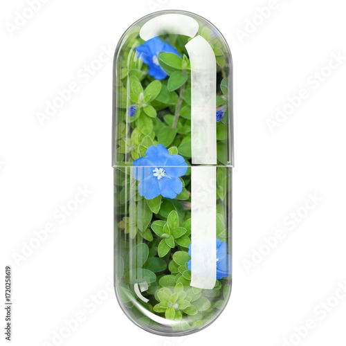 Vishnu Kranthi (Cleome Gynandra) Herbal Extract in Transparent Glass Capsule Isolated on White Background