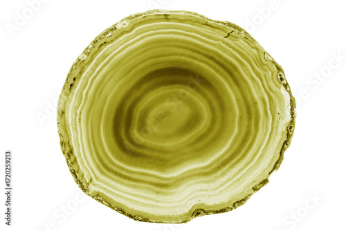 A painted Yellow agate slice with white veins on a white background suits decor and craft projects. Its layered texture adds a natural elegance to various designs.