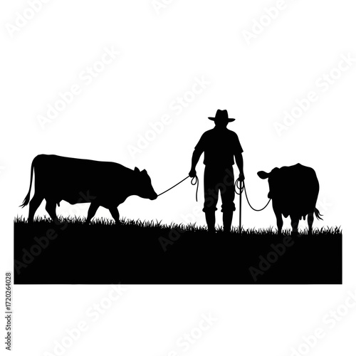 Farmer leading cows in a field silhouette isolated on white background