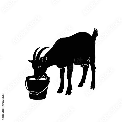 Goat drinking from a bucket silhouette isolated on white background