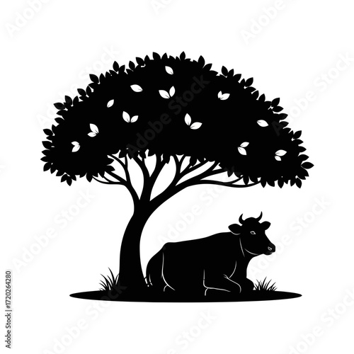 Cow resting under a tree silhouette isolated on white background