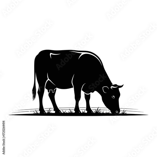 Black cow grazing silhouette isolated on white background