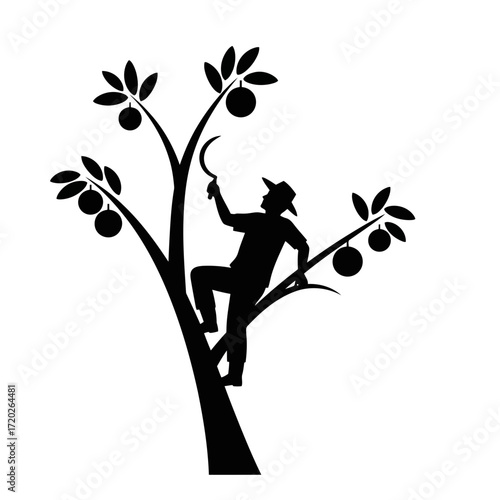 Farmer climbing tree harvesting fruit with sickle silhouette isolated on white background