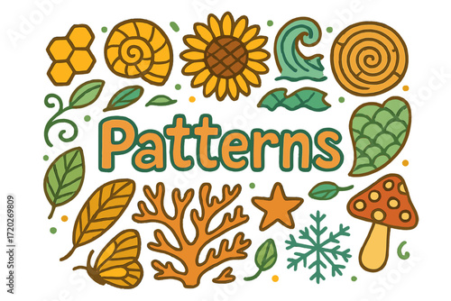 Vibrant Doodle Patterns. Patterns. Hand-drawn doodle illustration of Patterns. Honeycomb, spiral shell,
