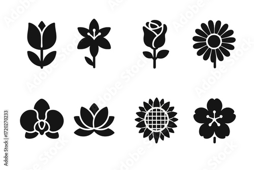 Black Floral Icon Set. Floral patterns. Filled icon set of floral patterns: tulip, lily flower, rose, daisy,