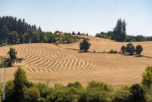 Farms in Oregon, Farmland in Oregon, Hay farm in Oregon
