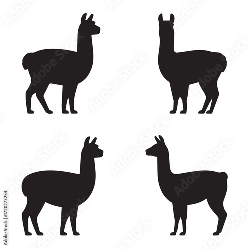 Elegant Llama and Alpaca Vector Illustration