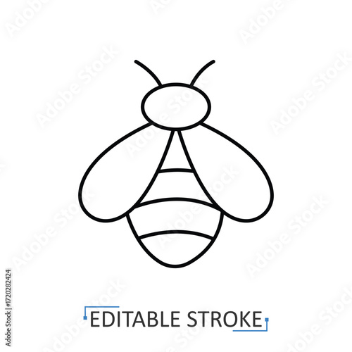 A bee icon in minimalist style with editable stroke. Insect symbol, honey bee, pollinator element, nature design, wildlife creature, flying bug, entomology illustration, eco concept.
