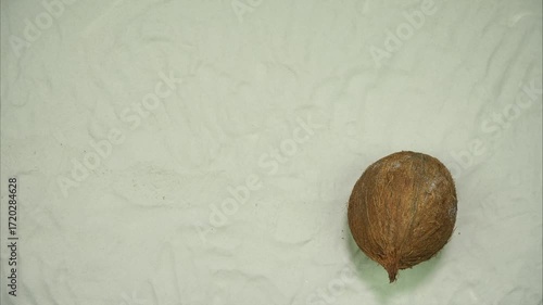 One whole coconut rolling on the white sand. Close up. Top view. Stop motion