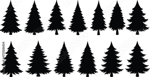Evergreen tree silhouettes, conifer forest vector, pine trees collection, abstract nature artwork, decorative plant design, isolated tree graphic, botanical illustration