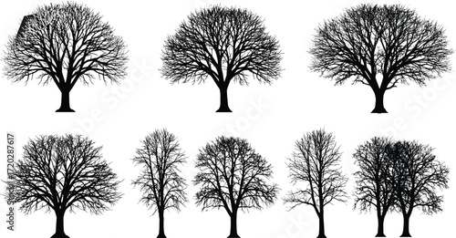 Leafless tree silhouette illustration, winter forest vector art, bare branches design, woodland background, black nature shapes, seasonal landscape graphic