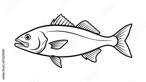 Simple fish line art outline for a coloring book page