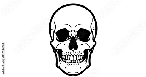 Illustration of a human skull with detailed features, perfect for tattoo design