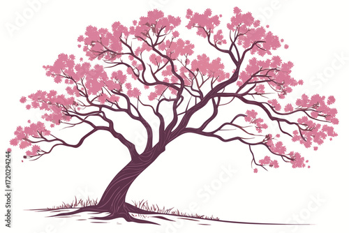 Realistic vector illustration of a beautiful redbud tree with magenta blossoms