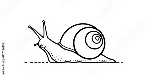 Simple black and white drawing of a snail crawling along a line