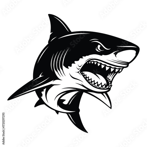 Vector art of an angry shark with open mouth isolated on white background