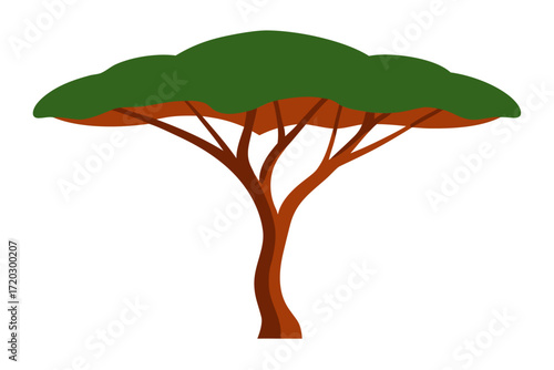 Realistic acacia tree umbrella canopy vector illustration scalable graphics nature element