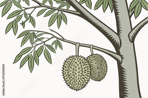 Realistic durian tree with spiky fruits vector illustration scalable eps