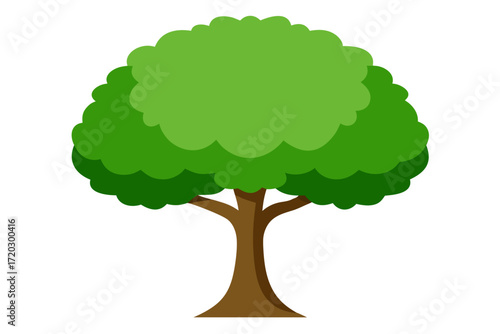 Realistic elm tree vector illustration lush rounded green canopy scalable art