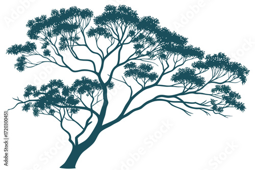 Vector illustration of a stylized eucalyptus tree with bluish green narrow leaves scalable graphic