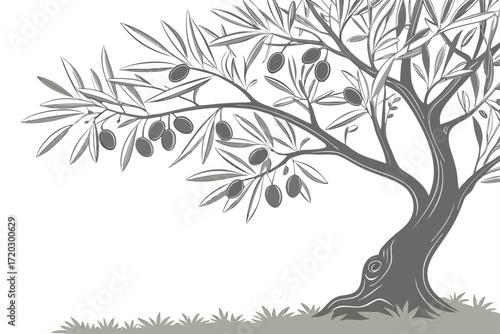 Elegant olive tree illustration vector graphic scalable nature art eps icon