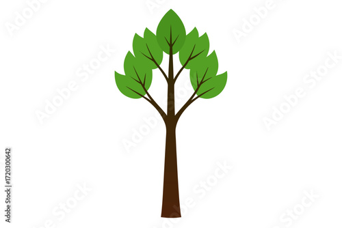 Realistic poplar tree vector illustration narrow tall shape green leaves scalable graphic