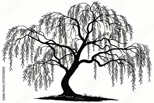 Realistic cascading willow tree vector illustration scalable green branches nature art