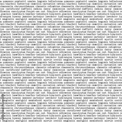 letter text hand drawing background