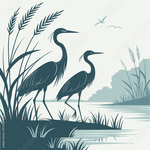 Two graceful herons stand near water serene nature scene beautiful