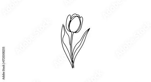 Tulip Minimalist One Line Flower Illustration Simple tulip line art with clean strokes. Perfect for spring decor, floral projects, eco-friendly branding, and vector design