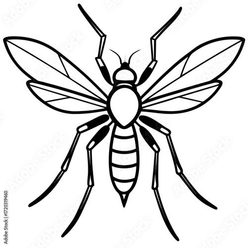 Minimal Mosquito Line Art Vector Illustration on White Background