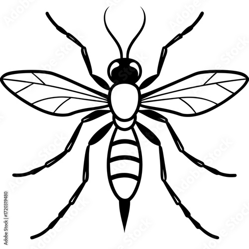 Minimal Mosquito Line Art Vector Illustration on White Background