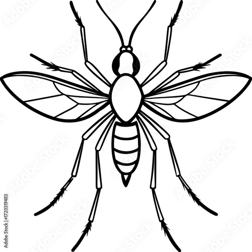 Minimal Mosquito Line Art Vector Illustration on White Background