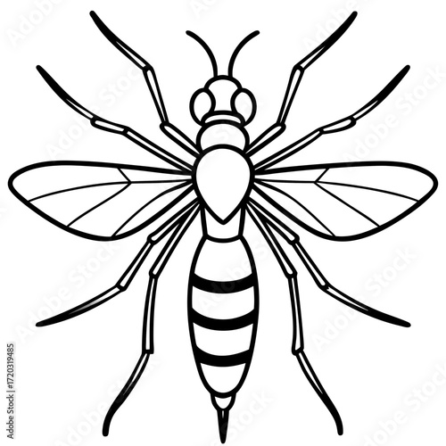 Minimal Mosquito Line Art Vector Illustration on White Background