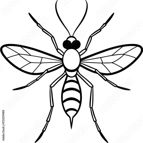 Minimal Mosquito Line Art Vector Illustration on White Background